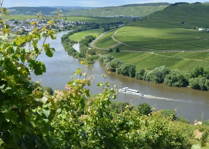 Weingut***pension Günther Scholtes Leiwen